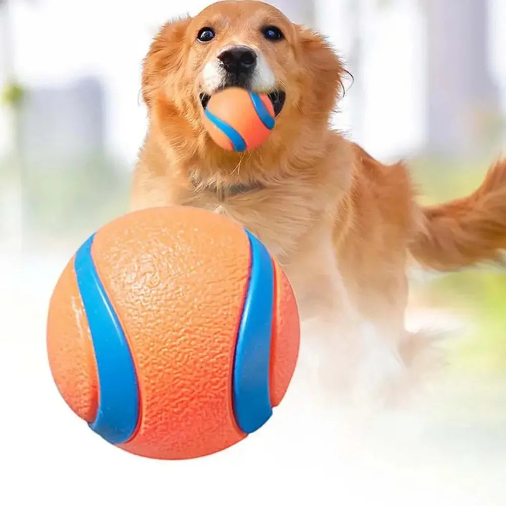 Bouncy Fetch Ball