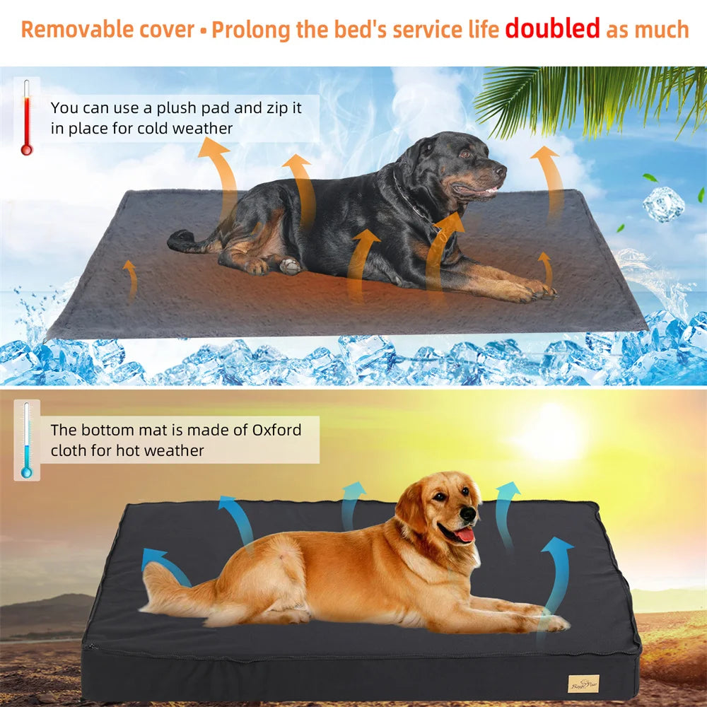 Orthopedic Dog Bed