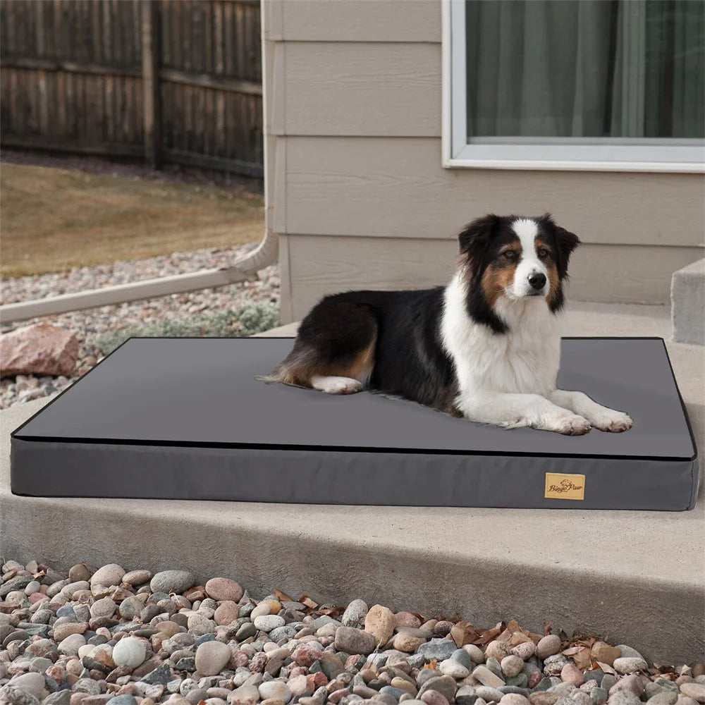 Orthopedic Dog Bed