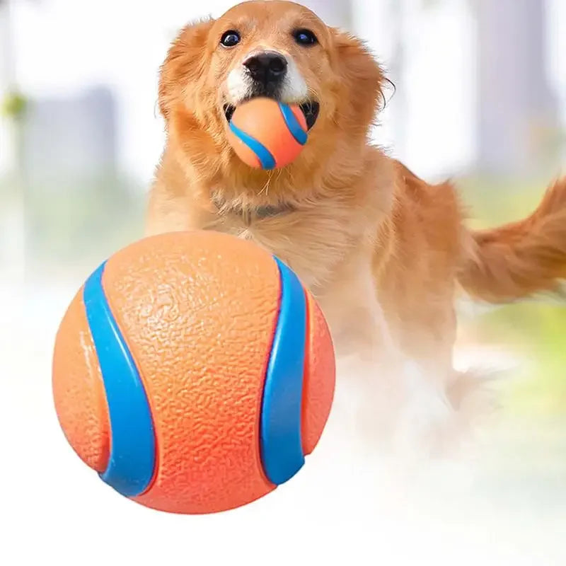 Bouncy Fetch Ball